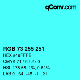 Color code: RGB 73 255 251 | qconv.com