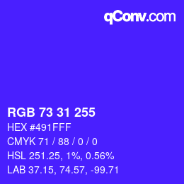 Color code: RGB 73 31 255 | qconv.com