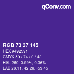 Color code: RGB 73 37 145 | qconv.com