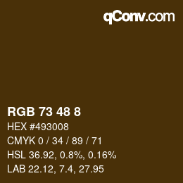Color code: RGB 73 48 8 | qconv.com