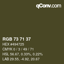 Color code: RGB 73 71 37 | qconv.com