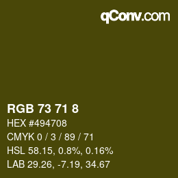 Color code: RGB 73 71 8 | qconv.com