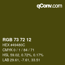 Color code: RGB 73 72 12 | qconv.com