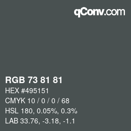 カラーコード: RGB 73 81 81 | qconv.com
