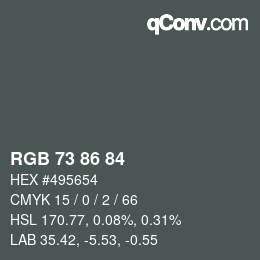 Código de color: RGB 73 86 84 | qconv.com