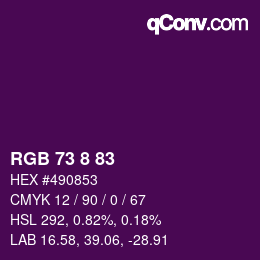 Color code: RGB 73 8 83 | qconv.com