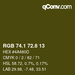 Color code: RGB 74.1 72.8 13 | qconv.com