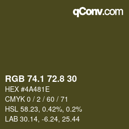 Color code: RGB 74.1 72.8 30 | qconv.com