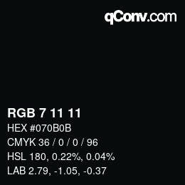 Color code: RGB 7 11 11 | qconv.com