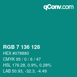Color code: RGB 7 136 128 | qconv.com