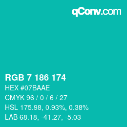 Color code: RGB 7 186 174 | qconv.com