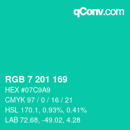 Color code: RGB 7 201 169 | qconv.com
