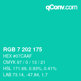 Color code: RGB 7 202 175 | qconv.com