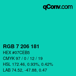 Color code: RGB 7 206 181 | qconv.com