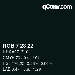 Color code: RGB 7 23 22 | qconv.com