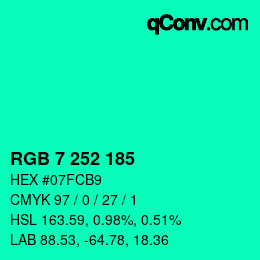 Color code: RGB 7 252 185 | qconv.com