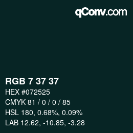 カラーコード: RGB 7 37 37 | qconv.com