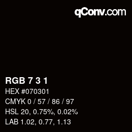 Color code: RGB 7 3 1 | qconv.com