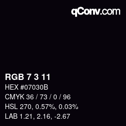 Color code: RGB 7 3 11 | qconv.com