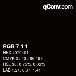 Color code: RGB 7 4 1 | qconv.com