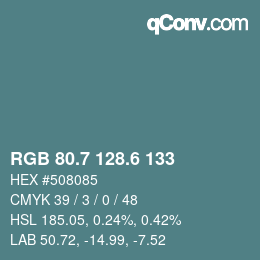 カラーコード: RGB 80.7 128.6 133 | qconv.com