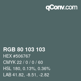 Farbcode: RGB 80 103 103 | qconv.com