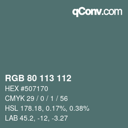 Color code: RGB 80 113 112 | qconv.com