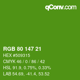 カラーコード: RGB 80 147 21 | qconv.com