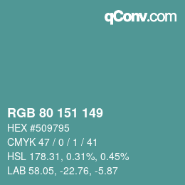Color code: RGB 80 151 149 | qconv.com