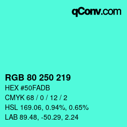 Color code: RGB 80 250 219 | qconv.com