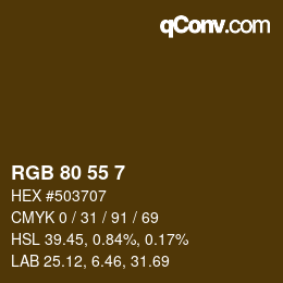 Color code: RGB 80 55 7 | qconv.com