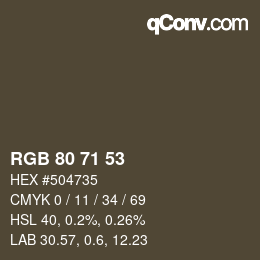 Farbcode: RGB 80 71 53 | qconv.com