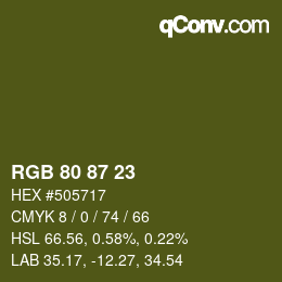 颜色代码: RGB 80 87 23 | qconv.com