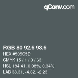 カラーコード: RGB 80 92.6 93.6 | qconv.com