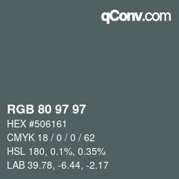 Color code: RGB 80 97 97 | qconv.com