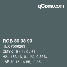 颜色代码: RGB 80 98 99 | qconv.com
