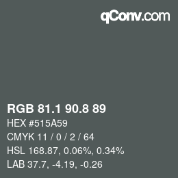Farbcode: RGB 81.1 90.8 89 | qconv.com