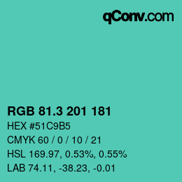 カラーコード: RGB 81.3 201 181 | qconv.com