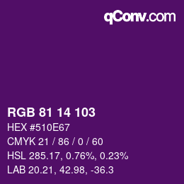 Color code: RGB 81 14 103 | qconv.com