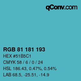 カラーコード: RGB 81 181 193 | qconv.com
