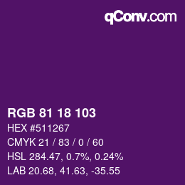 Color code: RGB 81 18 103 | qconv.com