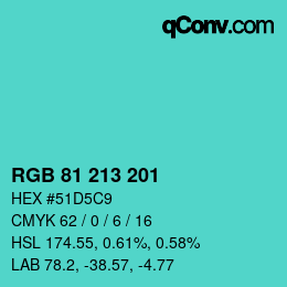 Color code: RGB 81 213 201 | qconv.com