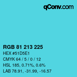 Color code: RGB 81 213 225 | qconv.com