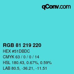 颜色代码: RGB 81 219 220 | qconv.com