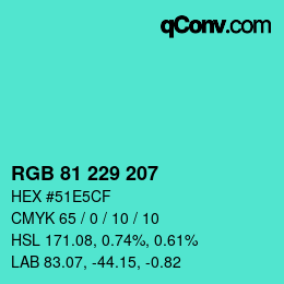 Color code: RGB 81 229 207 | qconv.com