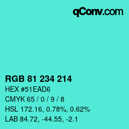 カラーコード: RGB 81 234 214 | qconv.com