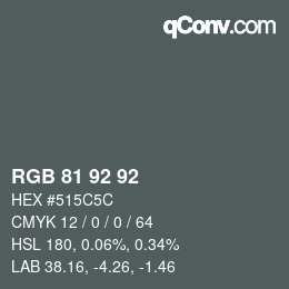 カラーコード: RGB 81 92 92 | qconv.com
