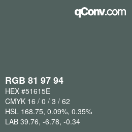 Código de color: RGB 81 97 94 | qconv.com