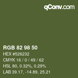Farbcode: RGB 82 98 50 | qconv.com
