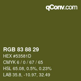Color code: RGB 83 88 29 | qconv.com